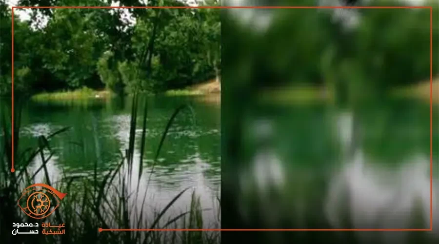 Five ways that can develop your business