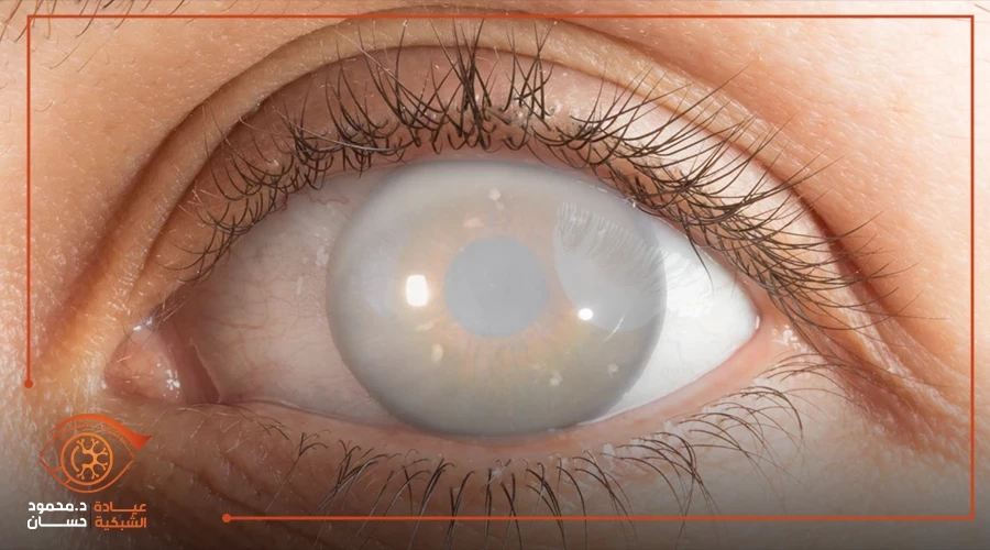 Five ways that can develop your business