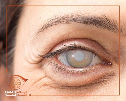 Five ways that can develop your business