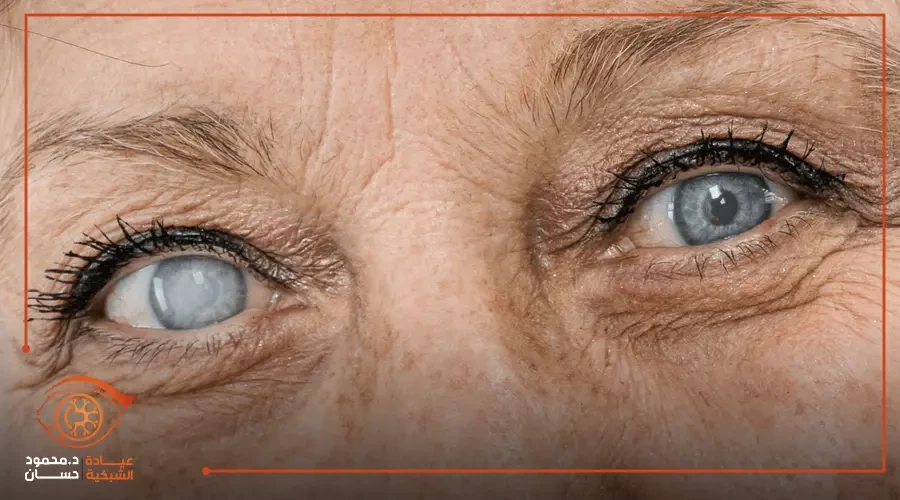 Five ways that can develop your business