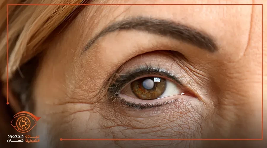 Five ways that can develop your business