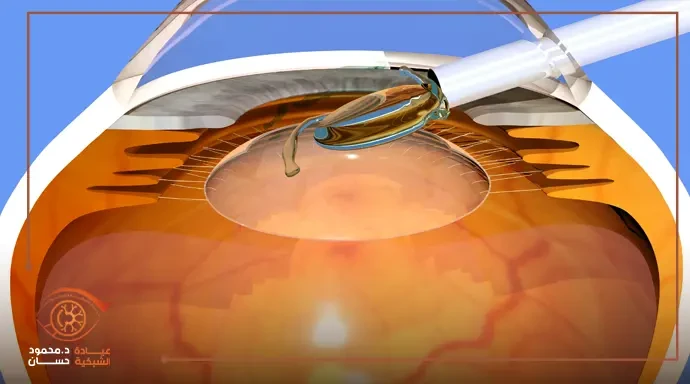 Five ways that can develop your business