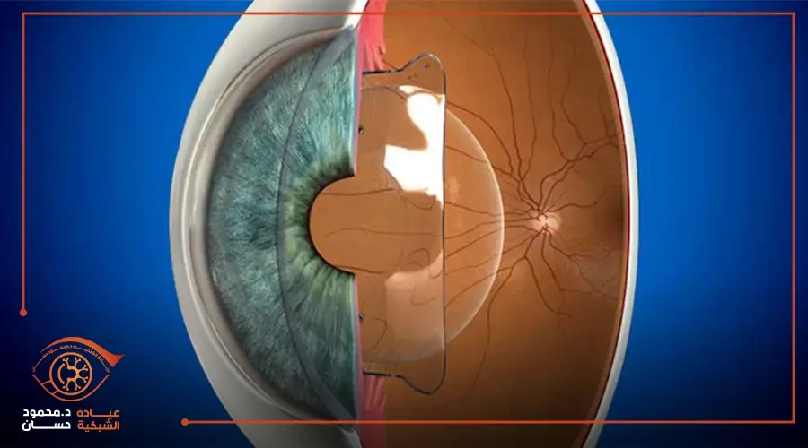 Five ways that can develop your business