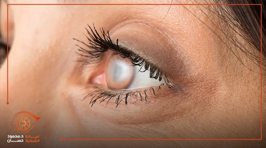 Five ways that can develop your business